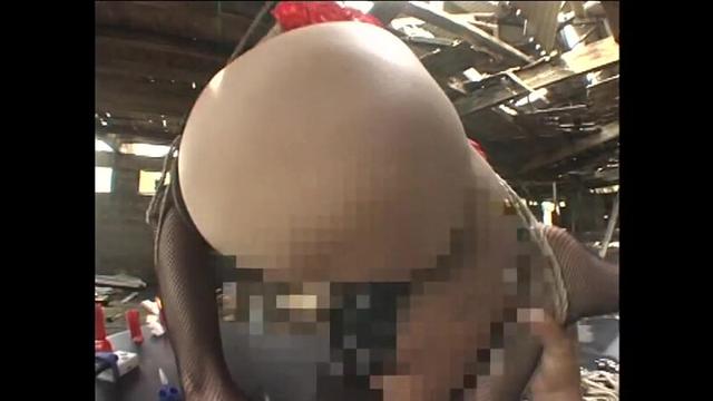 超淫乱美乳愛奴 安寿レイナ サンプル画像 14