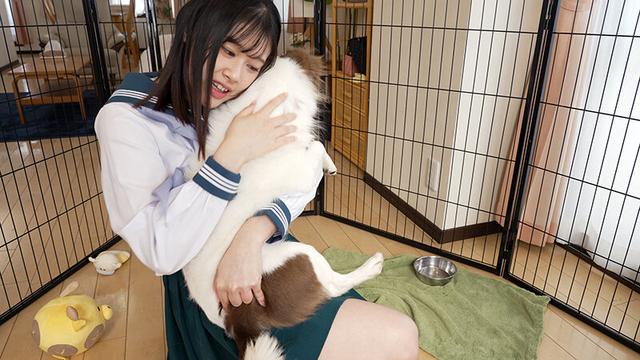 転生したら（天使のような巨乳女子校生の）犬だった件 サンプル画像 2
