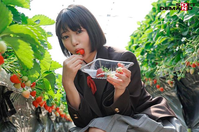 未成熟なカラダ、あやうい美少女 18歳 SOD専属AVデビュー 桃乃りん【圧倒的4K映像でヌク！】 サンプル画像 3