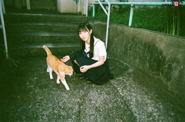 「生でしてみたいです」シャイな女の子が密かに憧れていたちょっと危なくてエッチな願望を叶える校外初中出しデート 望実かなえ サンプル画像 18
