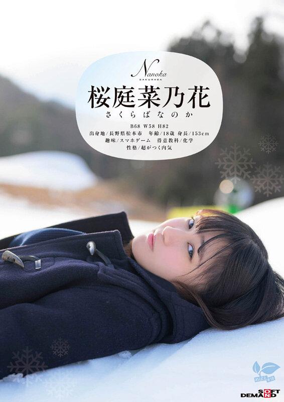 この冬、浪人生になった内気な美少女は色白Aカップボディを開発されてガチ未処理剛毛マ○コから糸を引くほど感じる 長野県松本市在住 桜庭菜乃花 18歳AVデビュー サンプル画像 2