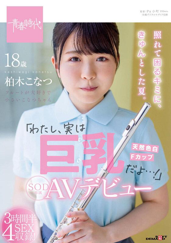 一期一会 ～青春時代と共に歩んだ9年間～ 10名のデビュー初脱ぎ初撮りSEX 2枚組8時間【永久保存版】 サンプル画像 5