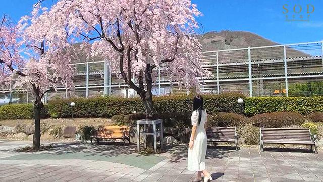 いいなり温泉旅行 青木桃 サンプル画像 4