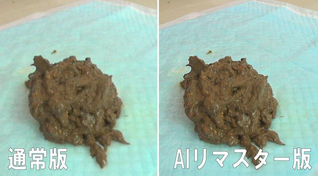 【AIリマスター版】パーフェクトうんち 密着4日間 6脱糞 京野結衣 サンプル画像 4