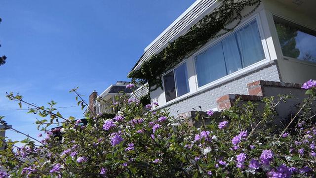 貪り合う黒百合の花園 黒人美少女レズビアンたちの香しき濡れ小陰唇 サンプル画像 1