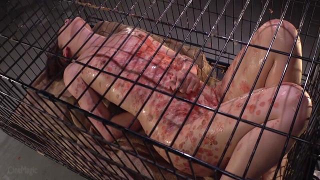 牝檻収監 飼い慣らされた二匹のマゾ犬 サンプル画像 5