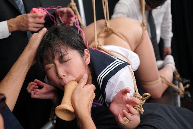 獣たちの前で無理やり四つん這いにされてパックリ晒した秘部を背後から狙われる悪夢 為す術なき地獄突き絶頂 SPECIAL ULTIMATE BEST サンプル画像 12
