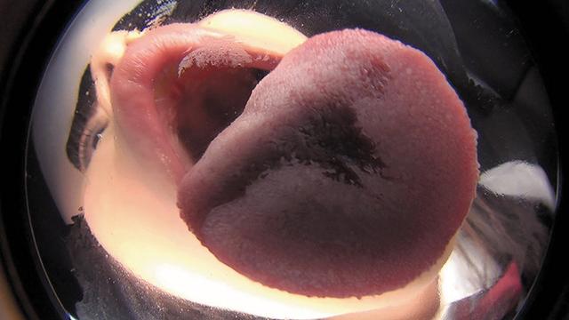 【完全主観】吸引密着キス サンプル画像 7