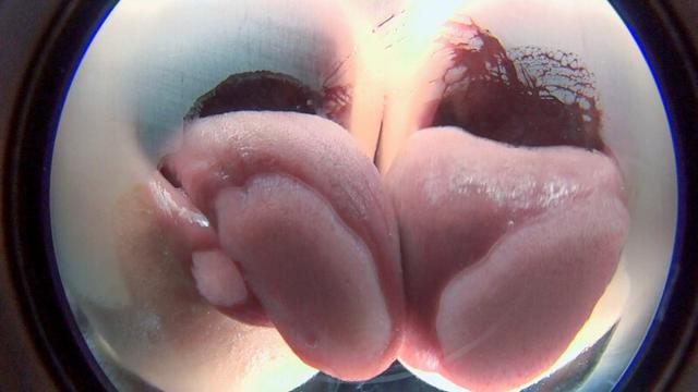 淫語 唾責めバーチャルレズキス サンプル画像 15