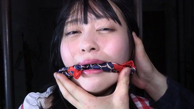 囚われの緊縛令嬢 DIDコレクション1 サンプル画像 2
