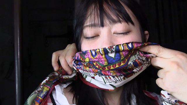 囚われの緊縛令嬢 DIDコレクション1 サンプル画像 3