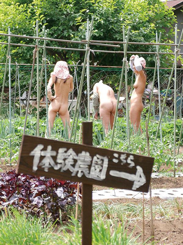 スッポンポンで農作業をするおばちゃんが居るという噂の農家に行ってきた！そこは青姦やり放題の楽園だった！ サンプル画像 1