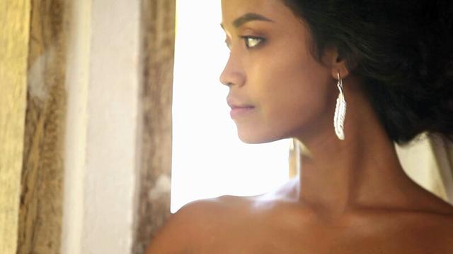 PLAYBOY Centerfolds Vol.1 サンプル画像 4