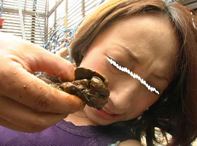 人前で初めての排泄 人妻のうんこおしっこを食らう便器男たち サンプル画像 18