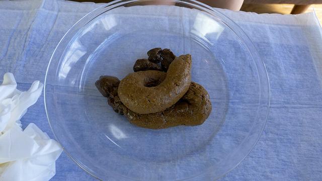 脱糞レディ・三浦さん 三浦はな サンプル画像 3