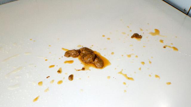 伝説の本物素人がまたスカトロAVに出ちゃいました 3日間の自然排便 サンプル画像 20