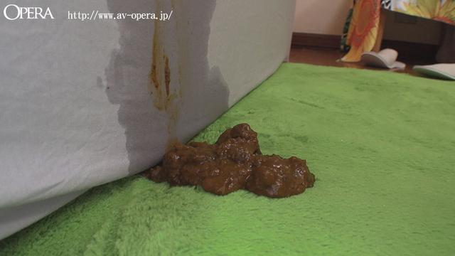 のんちゃんの糞 サンプル画像 8