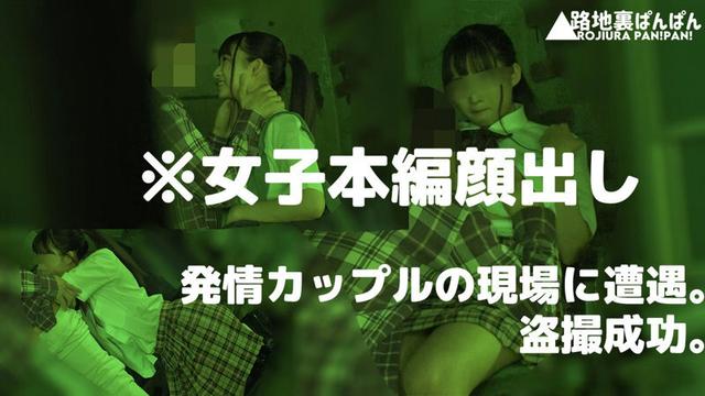 【流出映像】変態カップル 公然SEX盗撮 250分 屋外変態露出、愛撫、フェラ、腰振り交尾…これがアマチュアカップルの隠れSEXのリアル サンプル画像 9