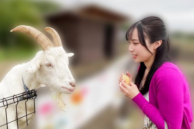 いつでもどこでも人妻オナホ したがり温泉旅行 藤原真帆 サンプル画像 3