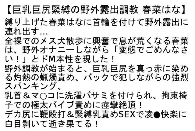 【お得セット】ワケあり奴●嫁・寝取られ温泉・巨乳巨尻緊縛の野外露出調教 サンプル画像 6
