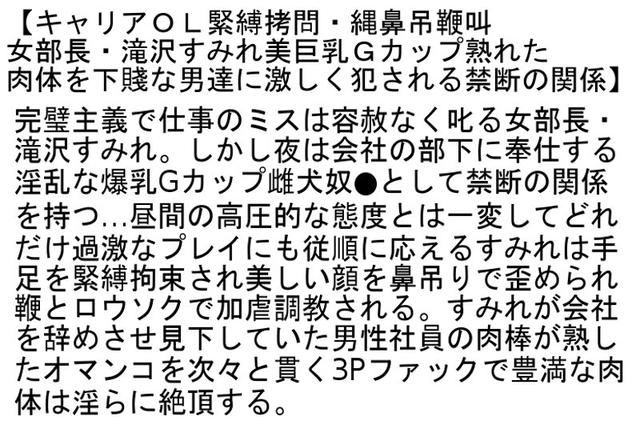 【お得セット】私をSEX奴●にしてください…【熟女編】・ キャリアOL緊縛拷問・縄鼻吊鞭叫・初SM×初アナル爆乳妻ドキュメンタリー サンプル画像 4