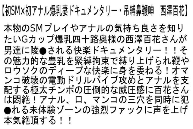 【お得セット】私をSEX奴●にしてください…【熟女編】・ キャリアOL緊縛拷問・縄鼻吊鞭叫・初SM×初アナル爆乳妻ドキュメンタリー サンプル画像 6