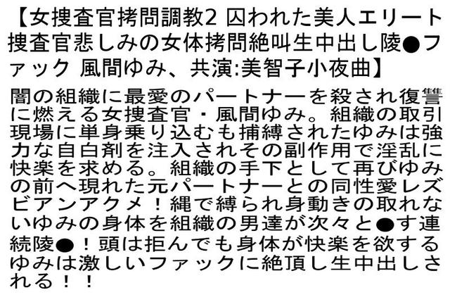【お得セット】捜査官拷問調教2・女捜査官拷問調教5・女捜査官拷問調教7 サンプル画像 2