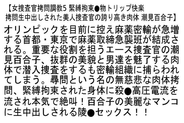 【お得セット】捜査官拷問調教2・女捜査官拷問調教5・女捜査官拷問調教7 サンプル画像 4