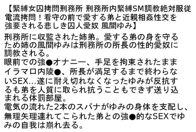 【お得セット】緊縛女囚拷問刑務所・2・4 サンプル画像 2
