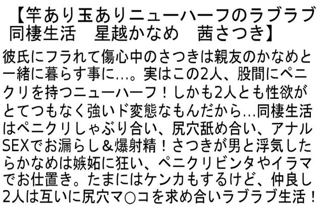 【お得セット】ニューハーフ×オトコノ娘・竿あり玉ありニューハーフのラブラブ同棲生活・ドMなオトコノ娘を調教する三角関係ニューハーフレズ サンプル画像 4