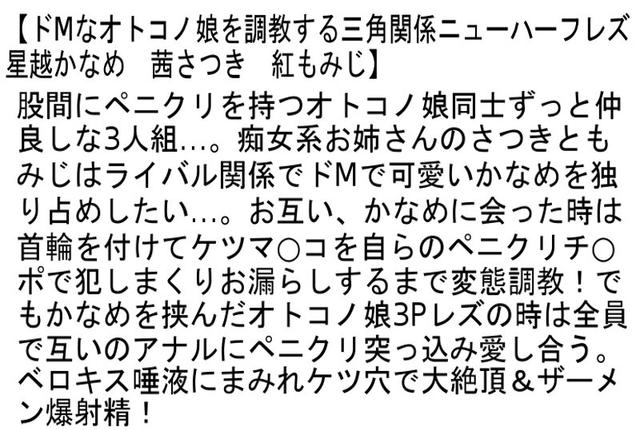 【お得セット】ニューハーフ×オトコノ娘・竿あり玉ありニューハーフのラブラブ同棲生活・ドMなオトコノ娘を調教する三角関係ニューハーフレズ サンプル画像 6
