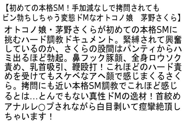 【お得セット】手加減なしで拷問されてもビン勃ちしちゃう変態ドMなオトコノ娘・肉便器志願のニューハーフ！・ニューハーフ・雌奴●化極限調教！ サンプル画像 2