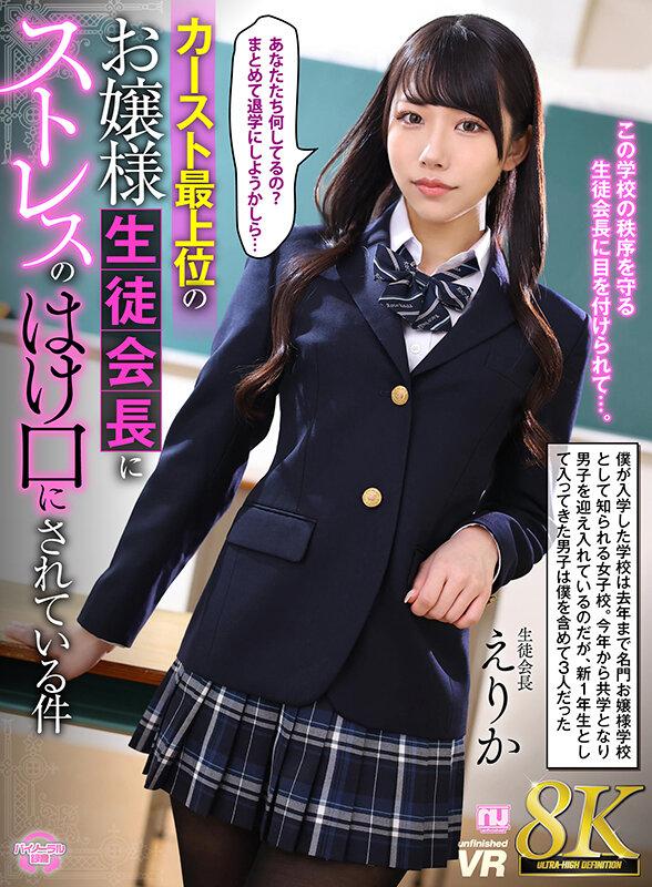 【VR】【8K VR】カースト最上位のお嬢様生徒会長にストレスのはけ口にされている件 えりか サンプル画像 1